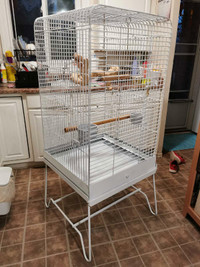 EXCELLENT LARGE BIRD CAGE WITH STAND AND ACCESSORIES 