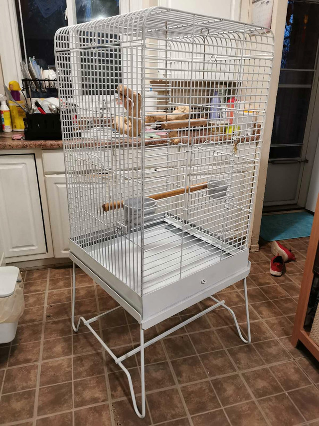 EXCELLENT LARGE BIRD CAGE WITH STAND AND ACCESSORIES  in Accessories in London