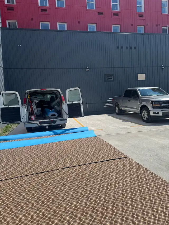carpet installation 509908063702241282