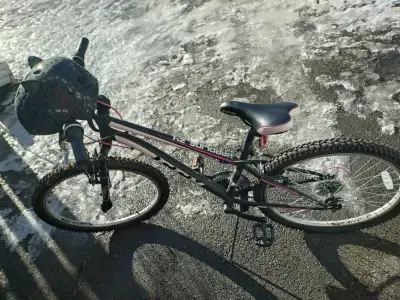 2 High-Quality Bikes – Adult and Teen – Perfect Condition, View more