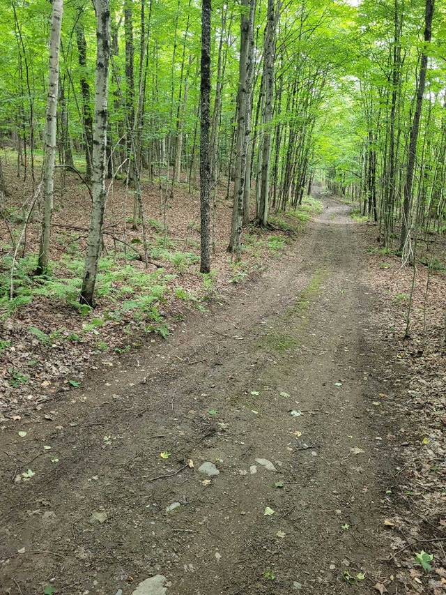 terrain de 2/3 acre situé à Deauville — photo 2
