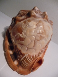 CAMEO CONCH SHELL Hand Carved Musician  Cherubin 5 1/2 Inches