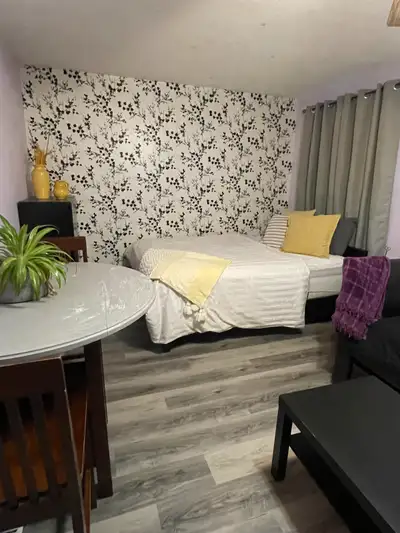 Room for Rent (month to month)
