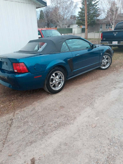 2000 Ford mustang convertible 