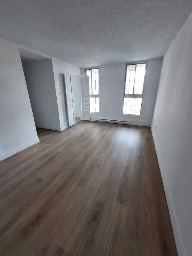 Downtown- Studio,  Metro Guy