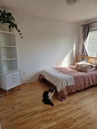 Chambre privée à louer dans un très grand 4 ½