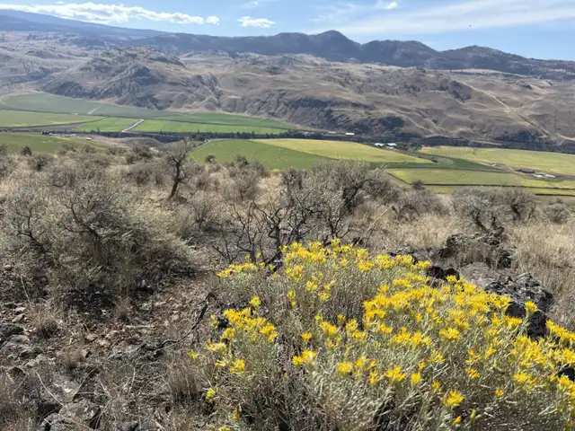 7 VIEW Acreages For Sale 32 Mins W of Kamloops 8, 10, 81 Acres in Land for Sale in Kamloops - Image 4