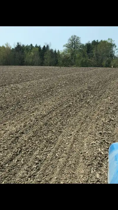 45.4 acres of tile drained prime farm land just south of Embrun. Excellent soil , always good crop a...