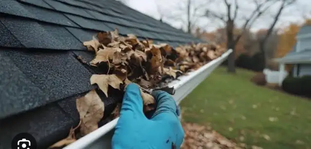 Eavestorugh/Gutter Cleaning 64285833961731121