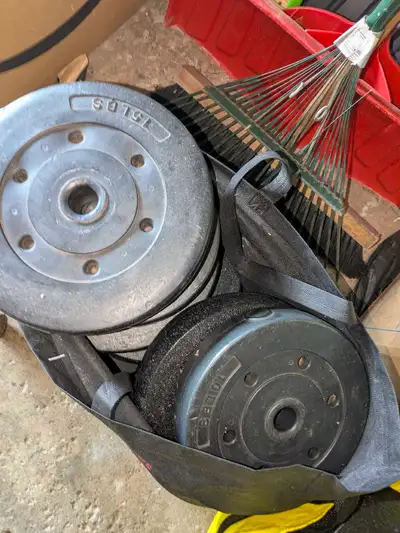 weighted plates , View more