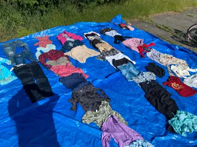clothing lot, View more