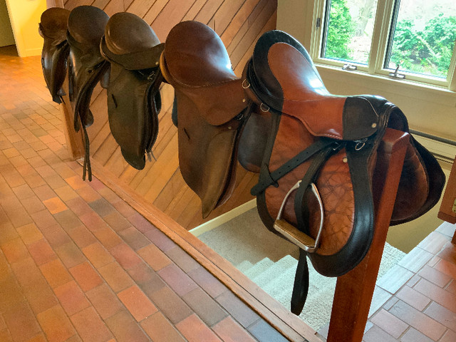 5 well-maintained used English saddles at a very low price! in Equestrian & Livestock Accessories in Peterborough