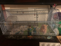  Large teddy bear, hamster cage, and full accessories for sale 