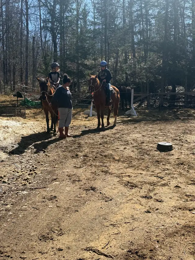 Horseback riding available!441075151595130884