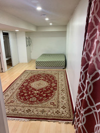 1  Bedroom basement with 2 parking and  wifi