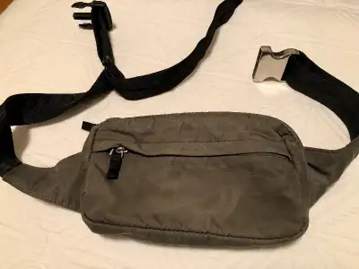 Aritzia Main Character Belt Bag purse, View more