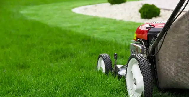 Grass Cutting Starting $19 Same Day Visit62863277766914122
