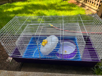 Free Rabbit Cages