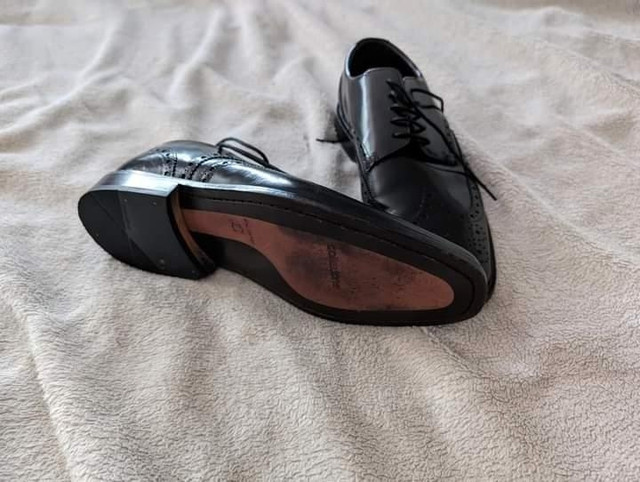 Collezione men shoes  in Men's Shoes in Kitchener / Waterloo
