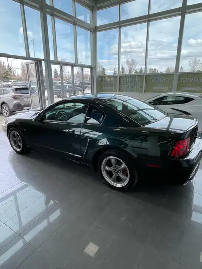 This is a rare car only 335 Dark Highland Green Bullitt’s were made for Canada in 2001. In excellent...