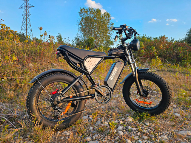 Want an Ebike that Turns Heads? Get the Zeus Q20 Retro Ebike! in eBike in City of Toronto
