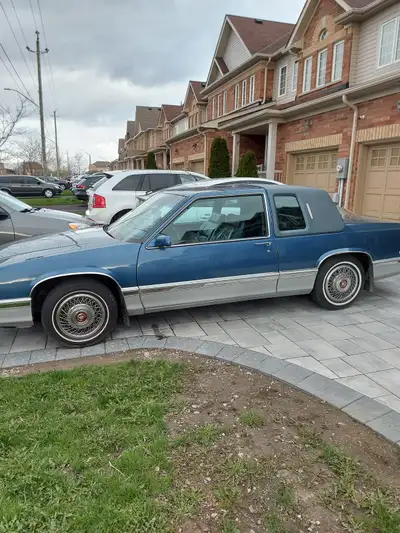 Excellent condition runs good no problems can get safety certificate if needed $5000 OBO