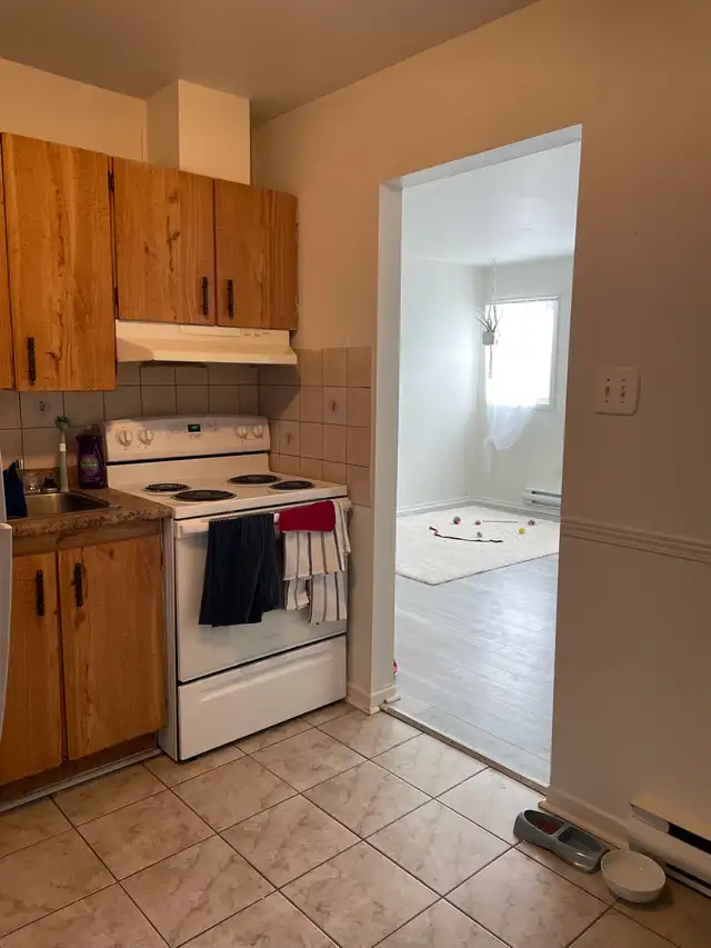 room for rent in a 2 bedroom apartment Glace Bay/Sydney in Room Rentals & Roommates in Cape Breton - Image 4