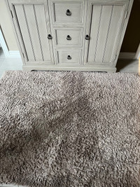 ALMOST NEW! NEUTRAL BEIGE/GREY CARPET 48”x60”-ONLY $60.00!