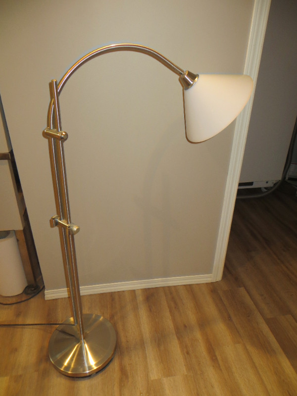 Floor lamp in Indoor Lighting & Fans in Edmonton