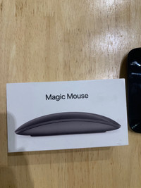 Apple magic mouse 