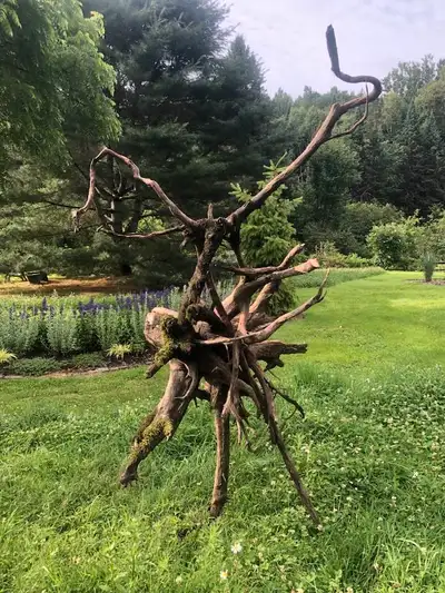 Piece unique, sculpture naturelle , "la chimère", View more