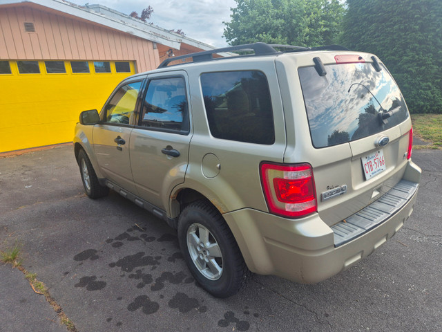 2010 ford escape in Cars & Trucks in Downtown-West End