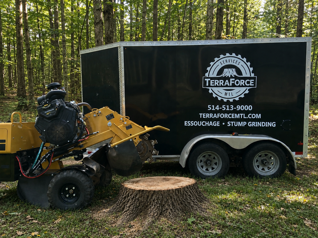 Stump Grinding