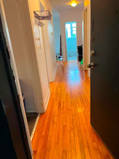 Grand 4 1/2 rue Boivin Ste-Foy très lumineux, beaucoup de rangement, situé à l’étage supérieur, avec...