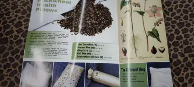 Regular Buckwheat Pillows for sale.