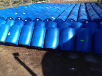 Blue Plastic Rain Barrels