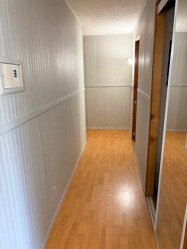 Professional Painter507645034381987842
