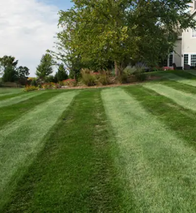At GSS we do excavating, grading, waterproofing, sewer repair, water service repair, sodding, tree c...
