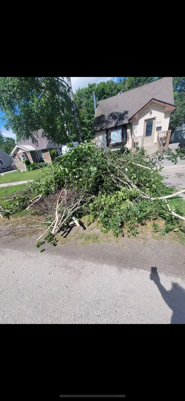 From $99 Garbage/Junk Removal Services!!!!!Same Day Pickup!!!!!522604402285619203