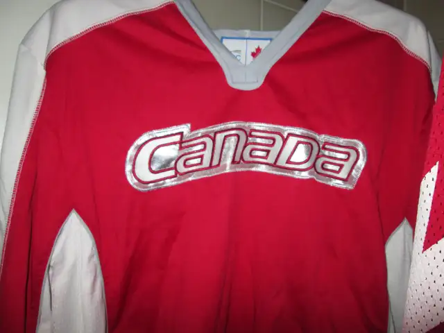 X-files-youth/adult books$5e Dvdss$10eSens$49Trade4 iphoneX/mini in Fiction in Ottawa - Image 12