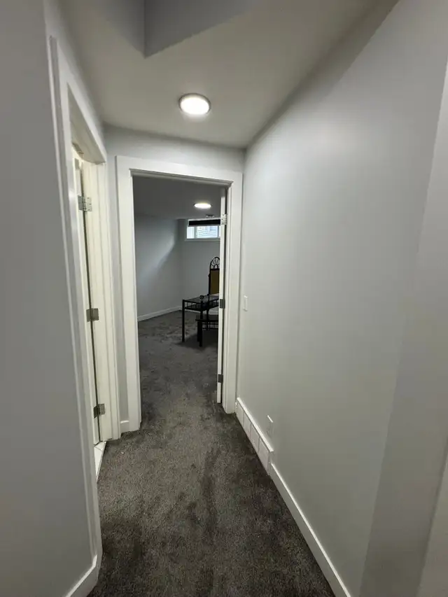 professional painters530755401202411528