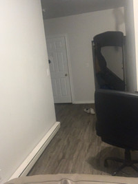 Room available in my apartment (Simcoe)