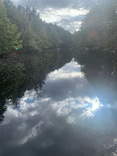 Looking to get out more hang out with some one or a small group of people. Looking to be more active...
