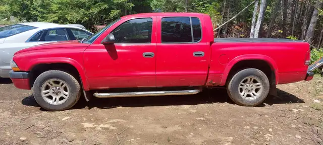 2004 Dodge Dakota596423590260910081