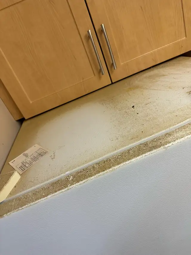 cleaning service 602770044313948162