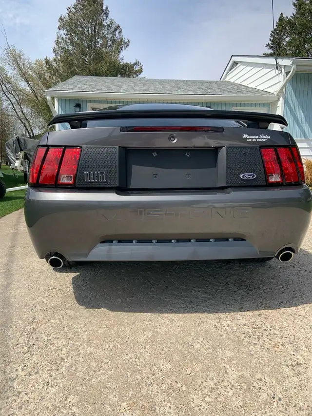 2003 Mustang Mach 1544786020042035204