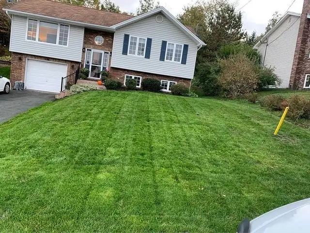 Lawn Mowing62864356082177122