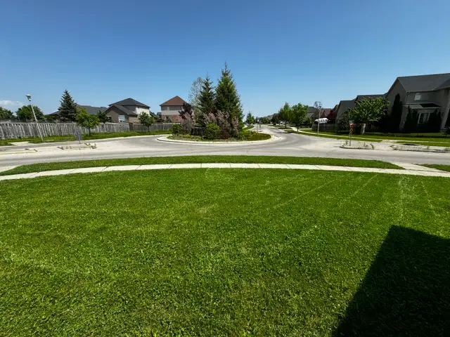 FALL CLEAN UP / SNOW REMOVAL / LAWN CUTTING in Lawn, Tree Maintenance & Eavestrough in London - Image 6