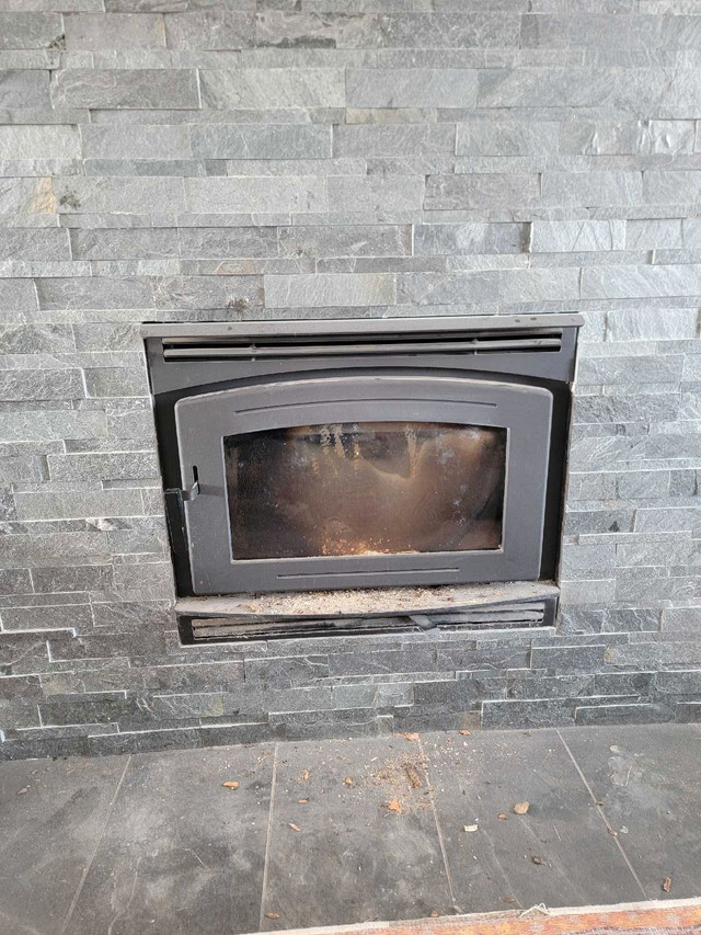 Pacific energy Fireplace in Fireplace & Firewood in Red Deer - Image 2
