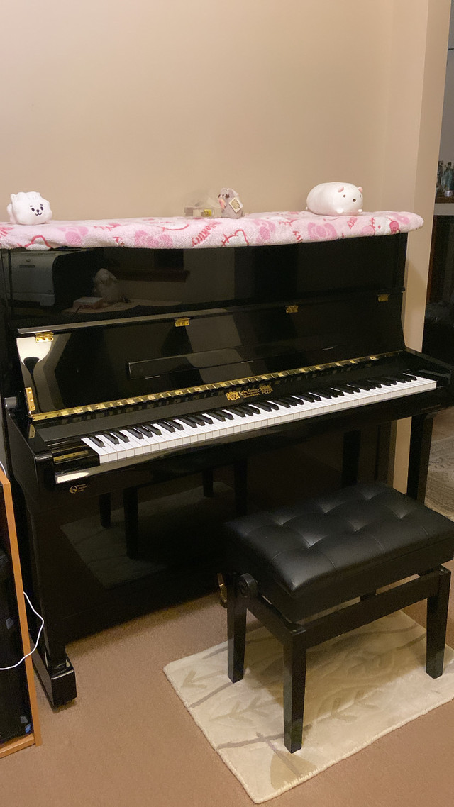 Piano Lessons In NW Calgary in Pianos & Keyboards in Calgary